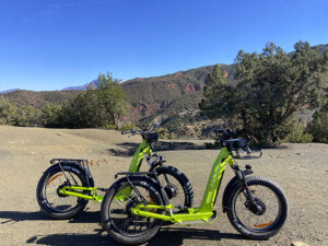 E-Scoot-Lohas-6